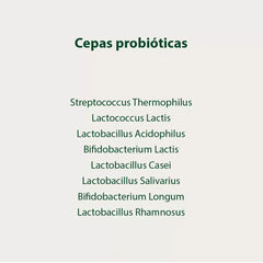 Bebida Probiótica Vita Biosa sabor Natural 500 ml